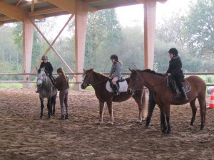 equitation toussaint 2014 013