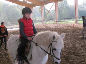 equitation toussaint 2014 017