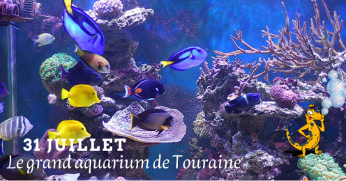 Animations vacances : le grand aquarium de Touraine